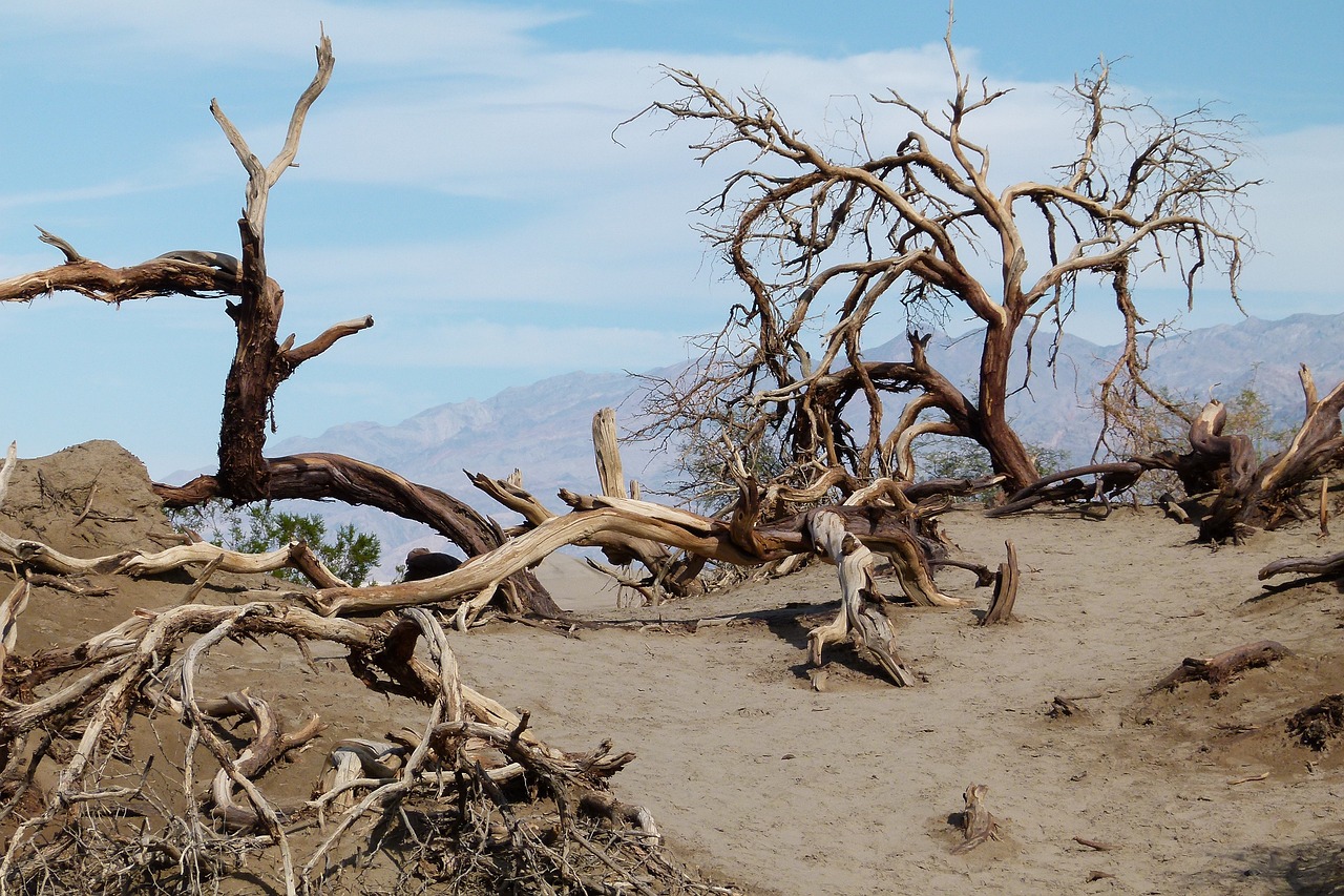 Discovering the Lost Cities of the Sahara Desert